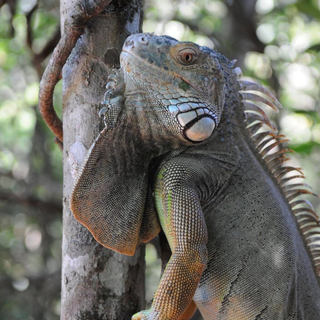 BioCentro Iguazú