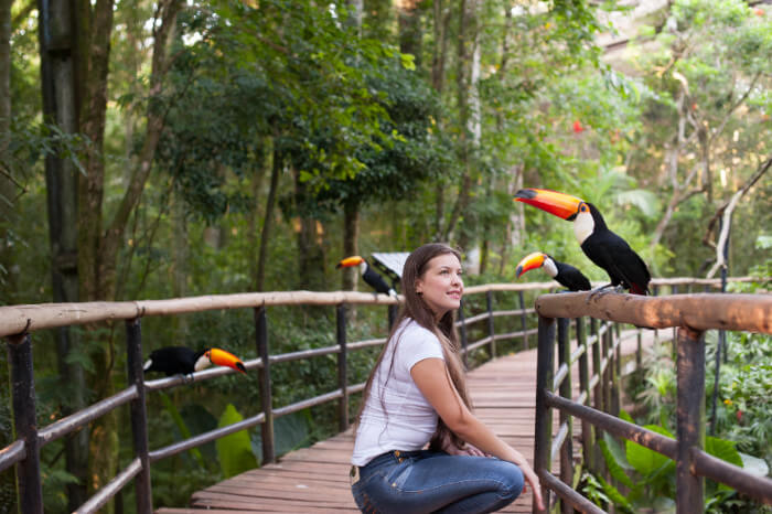 Parque das Aves